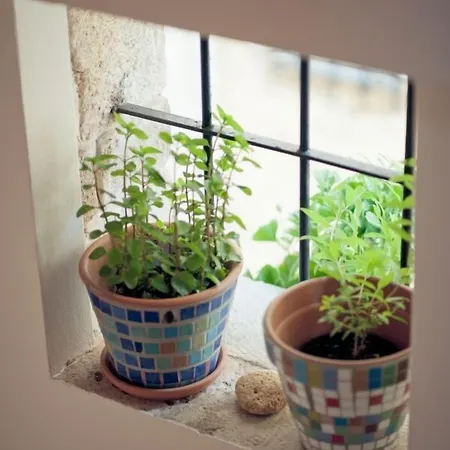 Hébergement de vacances Katerina Traditional