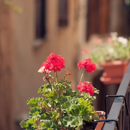 Katerina Traditional Hébergement de vacances